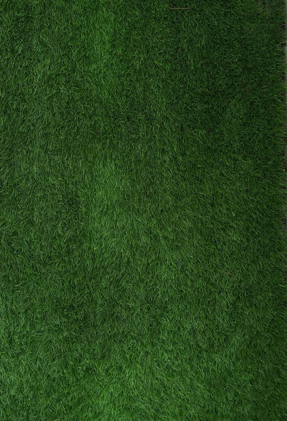 istock Green lawn grass in Golf Course nature park background 1315380587