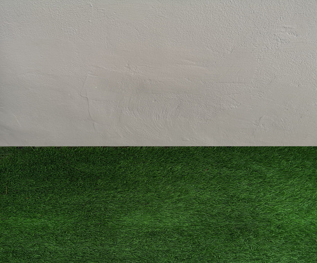 Green lawn grass floor nature park and grey cement wall background