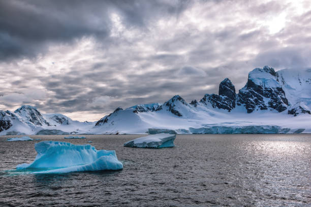 istock Icebergs in front of snow covered cliff 1315380786