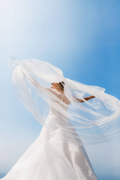 Happy beautiful bride,shallow doff