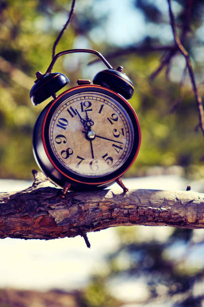 istock Old retro alarm clock in the forest on a branch on a bright, warm spring day. 1315385432