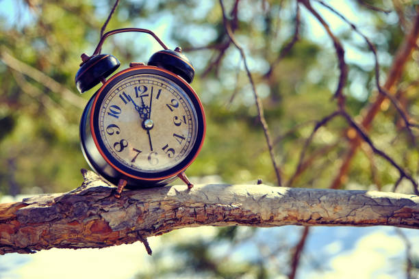istock Old retro alarm clock in the forest on a branch on a bright, warm spring day. 1315385434