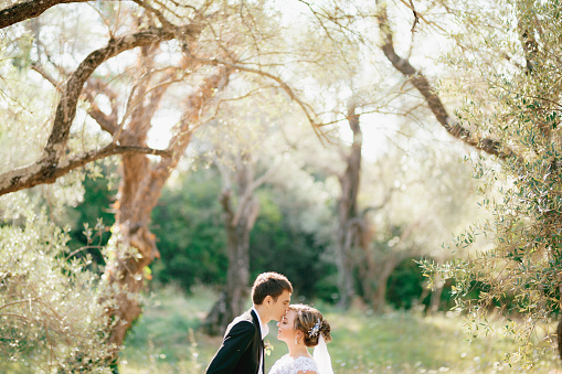 The bride and groom stand embracing in the olive grove, the groom kisses the bride on the forehead . High quality photo