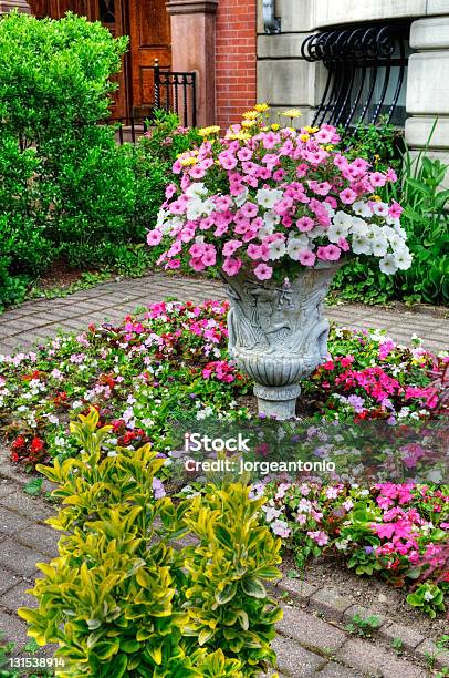 Flower Arrangement In Elegant Urban Garden Stock Photo - Download Image Now - Architecture, Arrangement, Back Bay - Boston