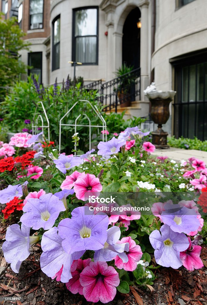 Rosa und Lila petunias in eleganten städtischen Garten - Lizenzfrei Architektur Stock-Foto