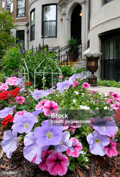 Rosa Und Lila Petunias In Eleganten Städtischen Garten Stockfoto und mehr Bilder von Architektur