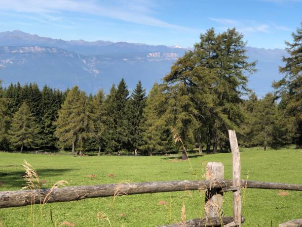 istock Scenic landscape in Southtyrol 1315392776