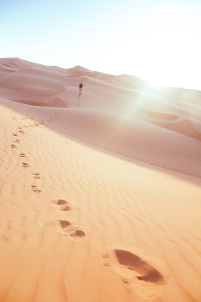アブダビの砂漠の足跡 ストックフォト