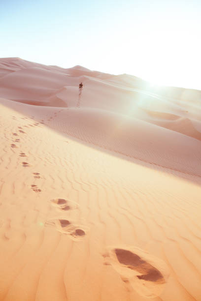 istock Footprints in the desert of Abu Dhabi 1315392918