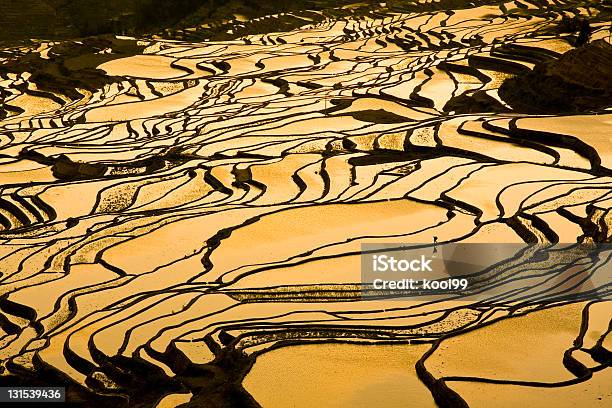 Yuanyang Terrace Duoyishu Słońca - zdjęcia stockowe i więcej obrazów Azja - Azja, Azja Wschodnia, Bez ludzi