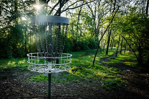 Disc golf basket between trees of a public park