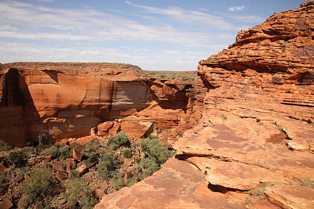 krajobraz kings canyon - alice springs australian culture desert kings canyon zdjęcia i obrazy z banku zdjęć