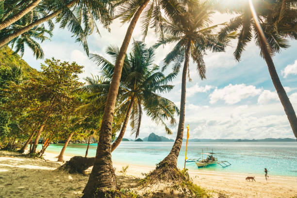 istock Tropical scenery with beautiful palm beach, Philippines 1315397237