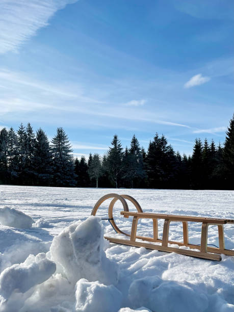 istock Wooden slide on snow background 1315397407