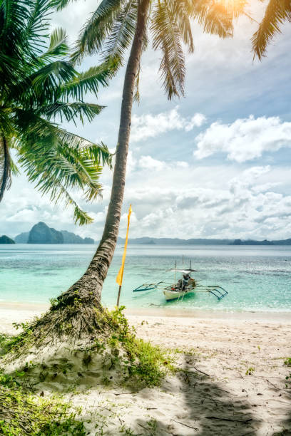 Tropical scenery with beautiful palm beach, Philippines