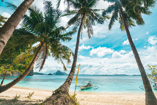 Tropical scenery with beautiful palm beach, Philippines