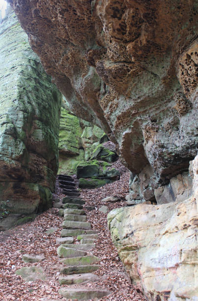 istock Honeycomb Rocks, Mullerthal Trail, Luxembourg 1315399283