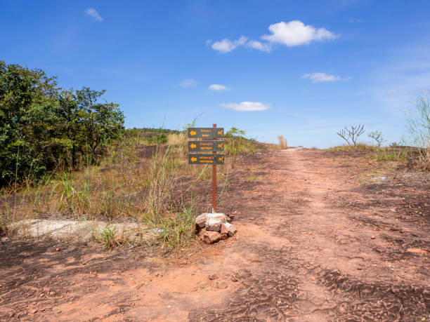 istock Sandstone walkway and forest with blue sky. 1315399617
