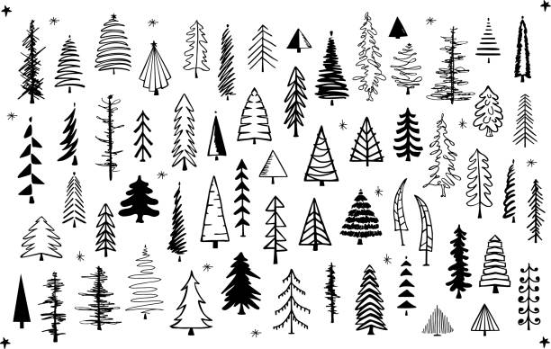 outlined and silhouette various  pine trees  set, isolated vector illustration graphic collection outlined and silhouette various  pine trees  set, isolated vector illustration graphic collection snowflake shape drawings stock illustrations