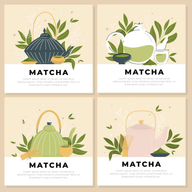 satz von vorlagen mit teekannen und matcha zubehör. - tea cup tea green tea chinese tea stock-grafiken, -clipart, -cartoons und -symbole