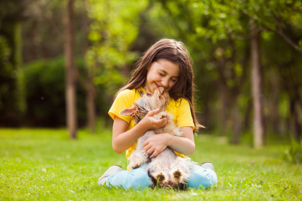 istock Girl Holding Dog 1315406745