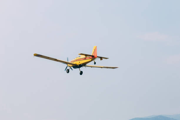 istock A plane flying in the blue clear sky . 1315407007