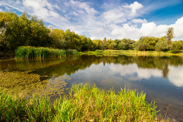 istock Beautiful lake in summer or autumn 1315409649