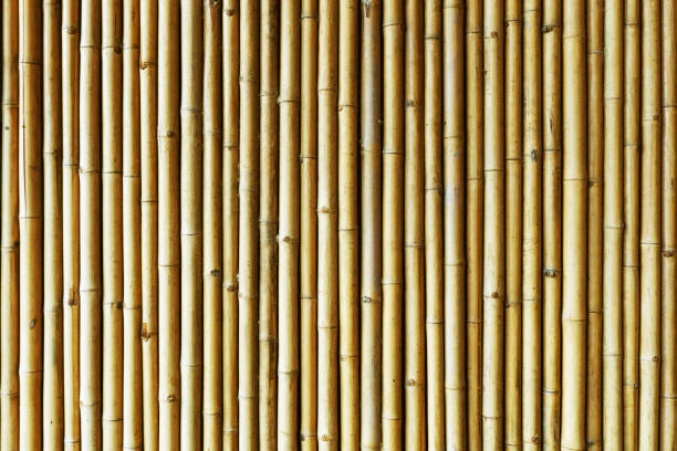 istock Brown bamboo sticks pattern. Natural wooden plant pipes background. 1315411055
