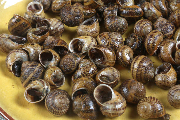 istock snails with sauce already cooked ready to eat 1315413083