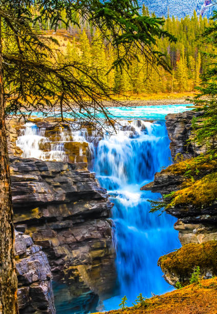 istock Athabaska Falls, Jasper National Park, Alberta, Canada. 1315413626