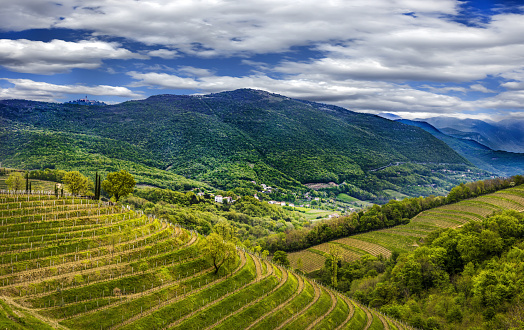 View on Sabotin in  From Goriska Brda in Slovenia. Mountain is Divided Into Two Countries. Slovenia And Italy.