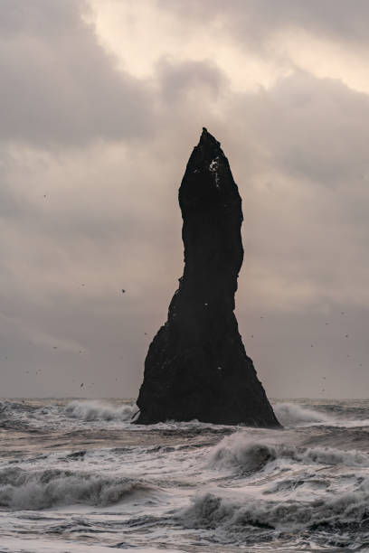 istock Basalt rock formations Troll toes on black beach. at storm Reynisdrangar, Vik, Iceland 1315421265