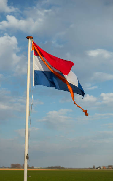 istock dutch flag with orange pennant 1315422629
