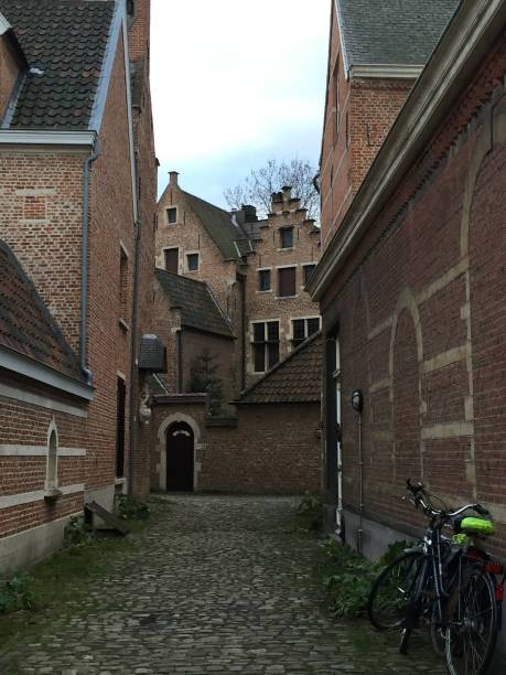 istock Belgium - Anvers - old town 1315424675