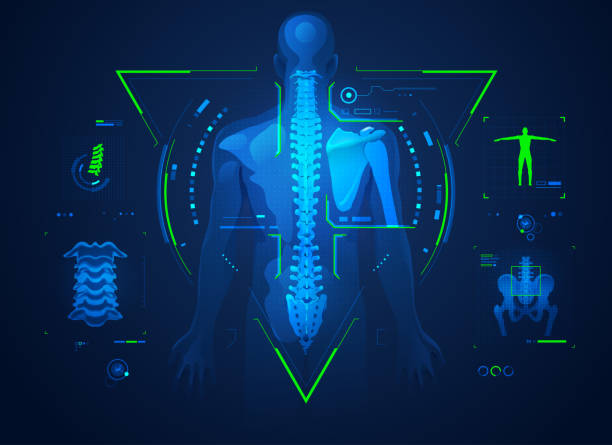 chiropracticTech concept of chiropractic technology or spine medical treatment, graphic of human back bone with x-ray interface spinal surgery recovery stock illustrations