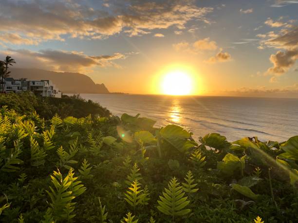 istock Tropical Sunset on Hawaain Island 1315425348