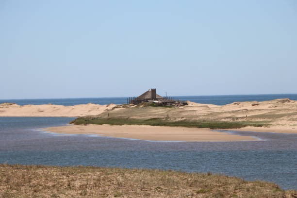 istock The estuary environment connects the lagoon to the ocean 1315426549