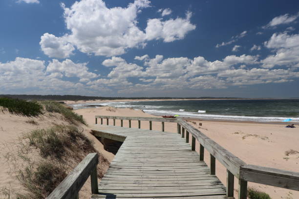 istock Wooden walkway leading to the beach 1315428136