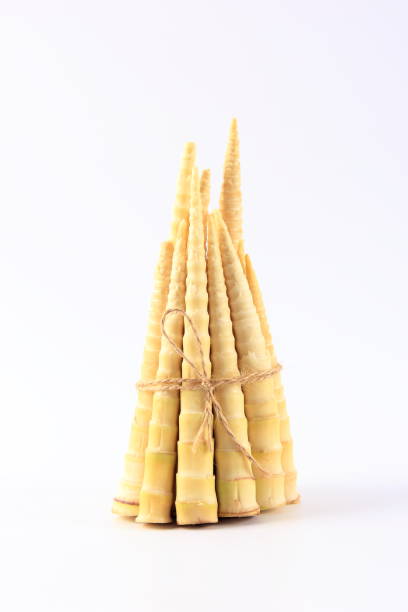 bamboo shoots on white background - bamboo shoot imagens e fotografias de stock