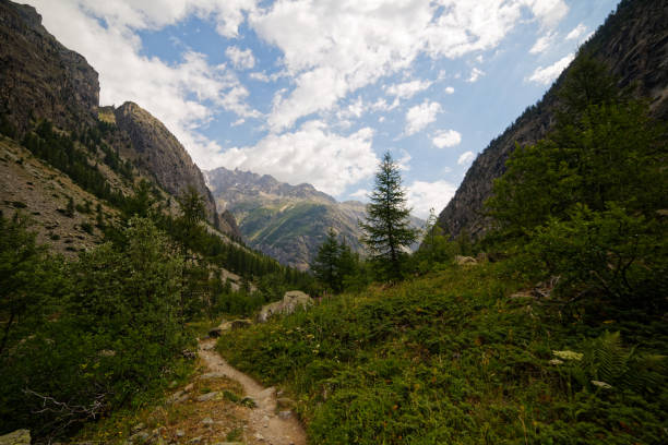 istock Mountain scenery in french Alps 1315432586