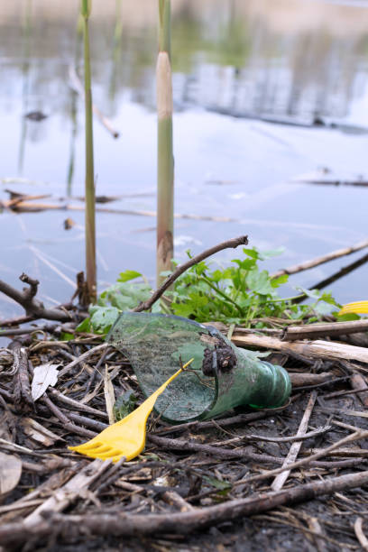 istock Broken glass bottle and broken plastic wiccas on the riverbank. 1315432873