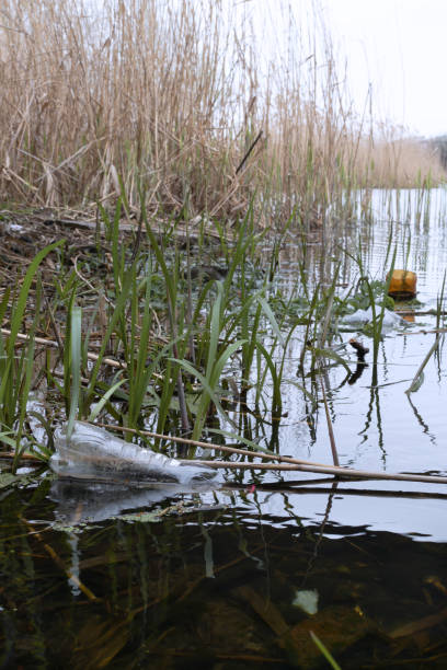 istock Plastic bottles and bags by the river. 1315432878