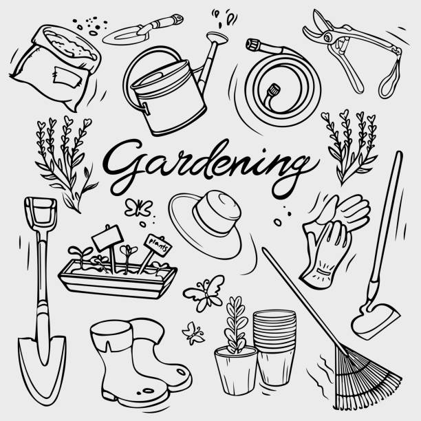 ilustraciones, imágenes clip art, dibujos animados e iconos de stock de set de garabatos de herramientas de jardín. equipo de mano para jardinería, agricultura, agricultura. iconos vectoriales en estilo de croquis sobre blanco. - rastrillo artículos de jardín