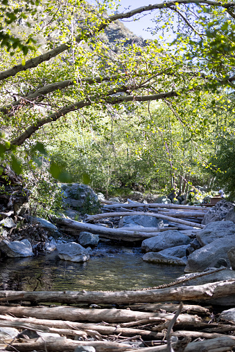 Image in the mountains around Mt. Baldy in Claremont California in San Bernardino County. Taken during the morning.