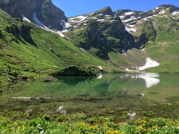 istock Switzerland - the Mosses - Lake lioson 1315441035