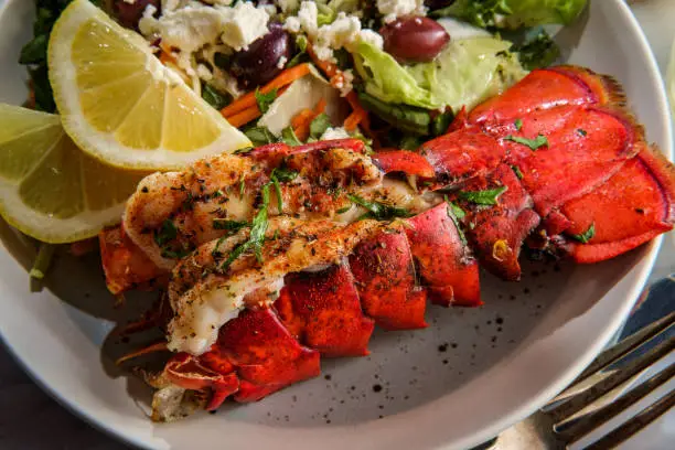 Grilled lobster tail served with fresh Greek salad with sliced lemon and melted butter for dipping
