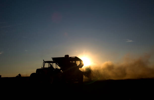 istock Rural machine working at agriculture field at sunset. 1315442976