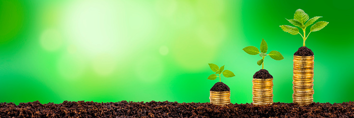 growing plants on stacked coins shows financial success