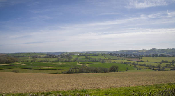istock Vast Countryside Landscape 1315447731