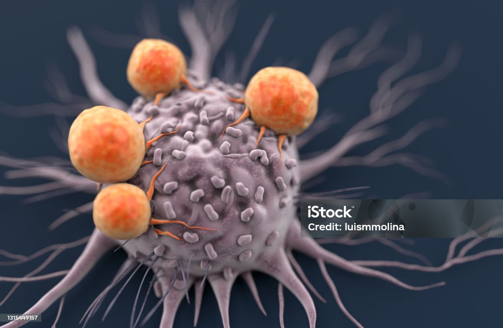 Cancer cell attacked by Lymphocytes Cancer - Illness Stock Photo